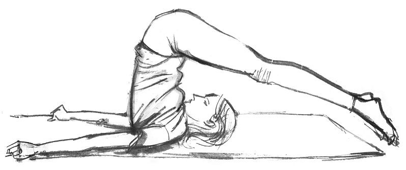 Drawing of the yoga posture, halasana